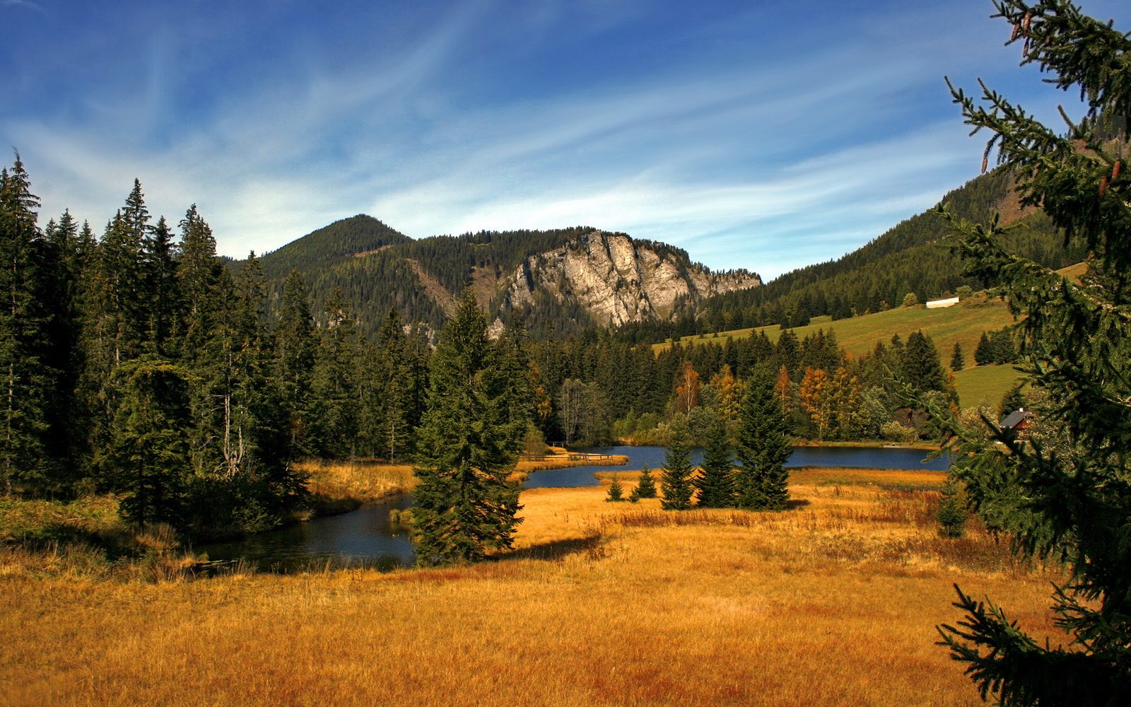 九游app官网下载-中国篮球联合会加强运动员权益保护，营造良好行业环境，篮球比赛保障人员